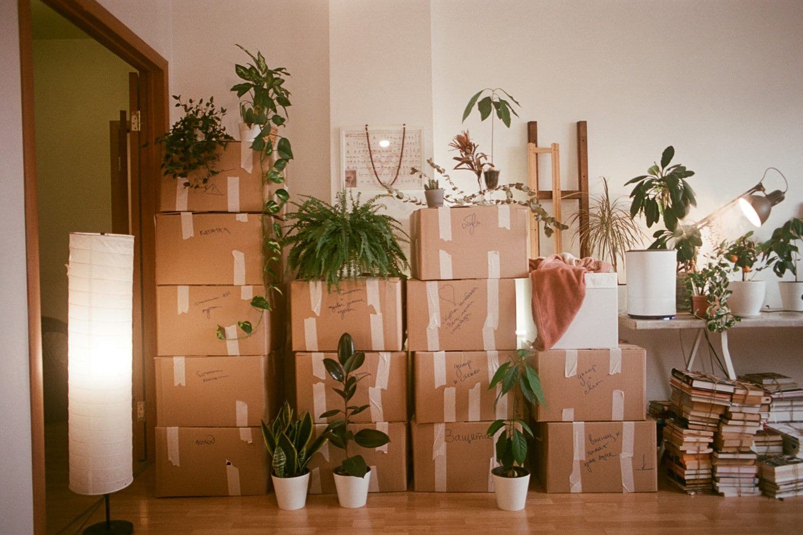 Cardboard moving boxes in an empty room, illustrating old addresses listed on a credit report.