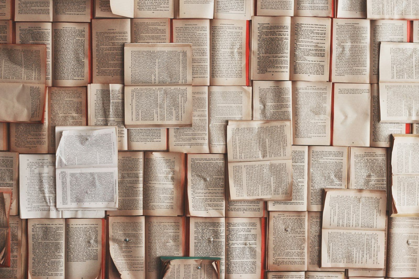 Open book lot, illustrating public Records on Credit Reports.