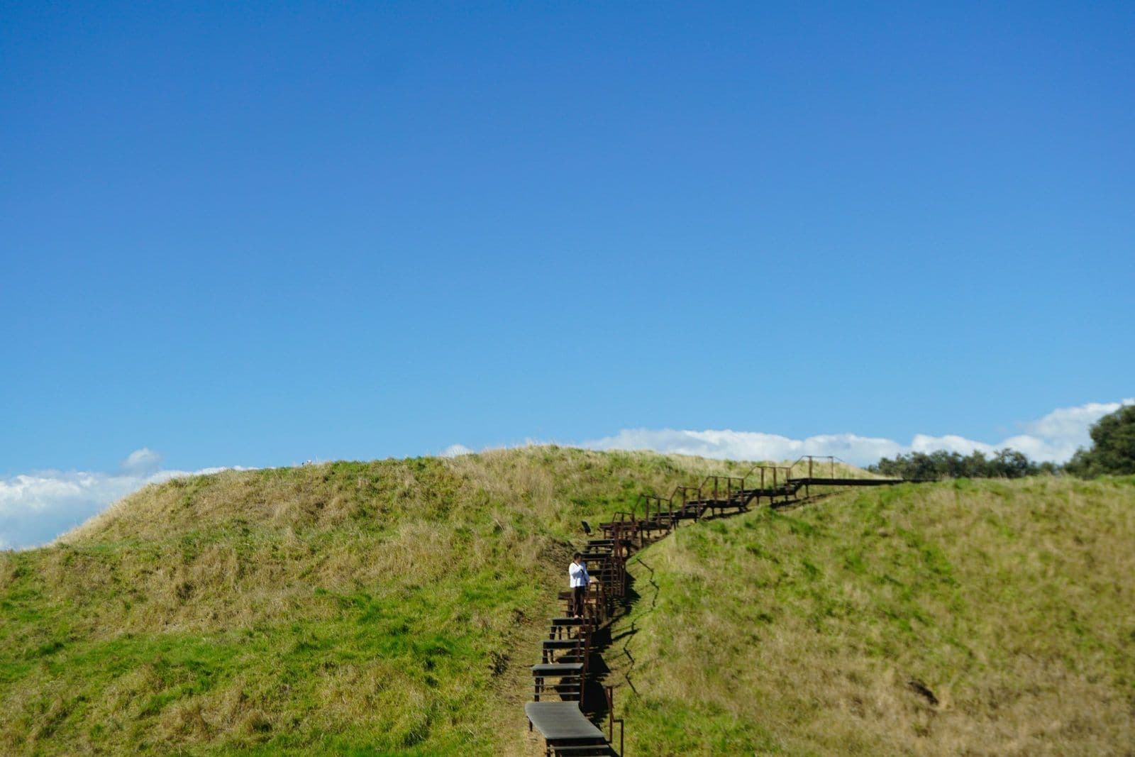 Wooden stairs climbing a grassy hillside, illustrating raising a credit score fast.
