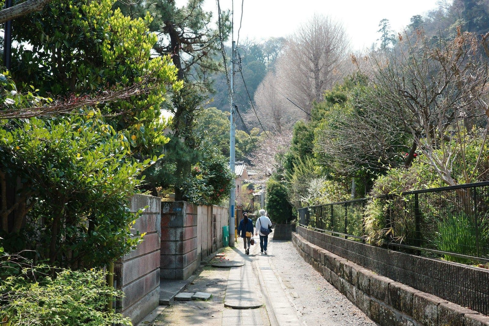 Two people walk along a quiet, narrow lane lined with greenery and a low stone wall on a bright day.