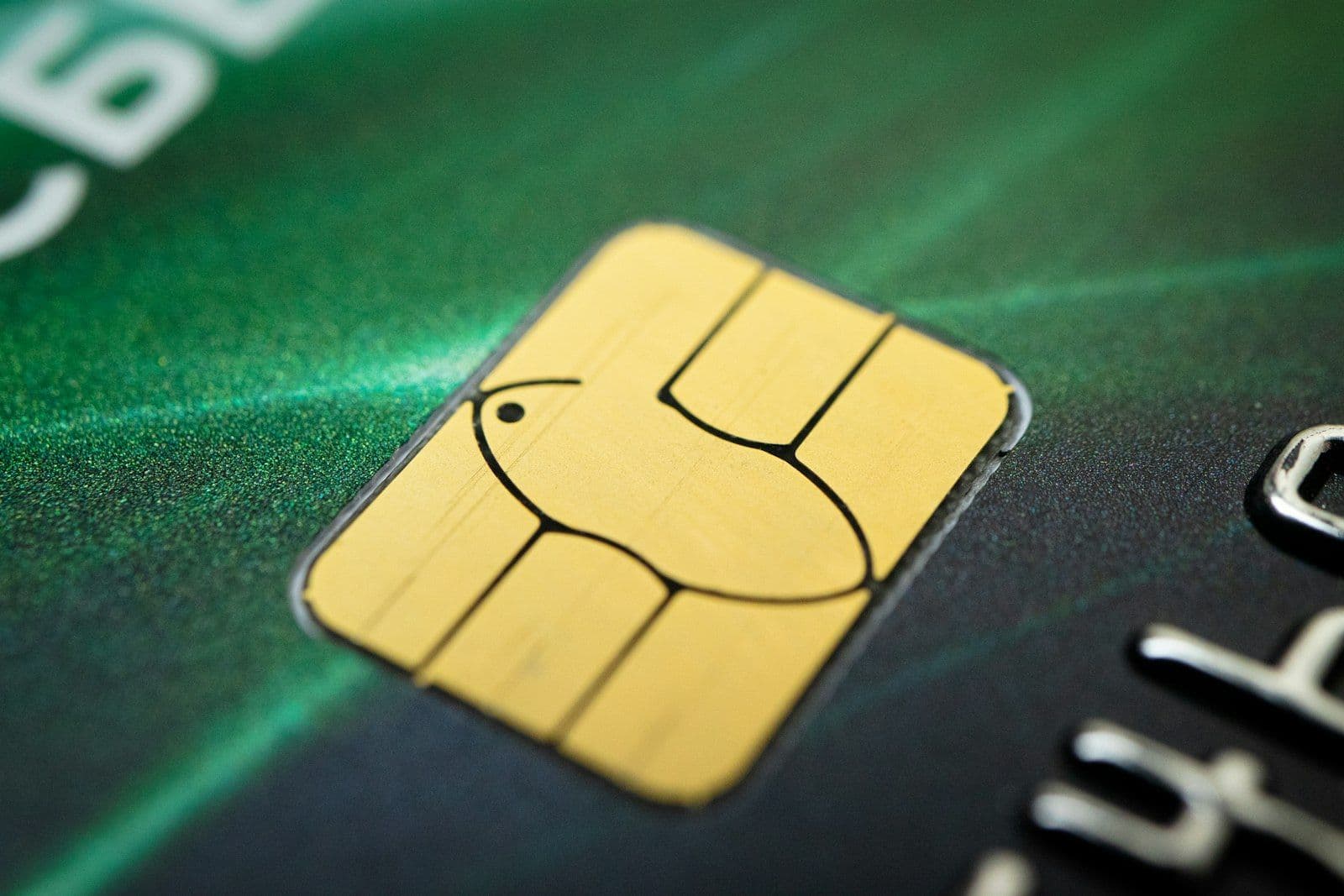 Stack of credit cards, illustrating the tradeline rental and piggybacking market.
